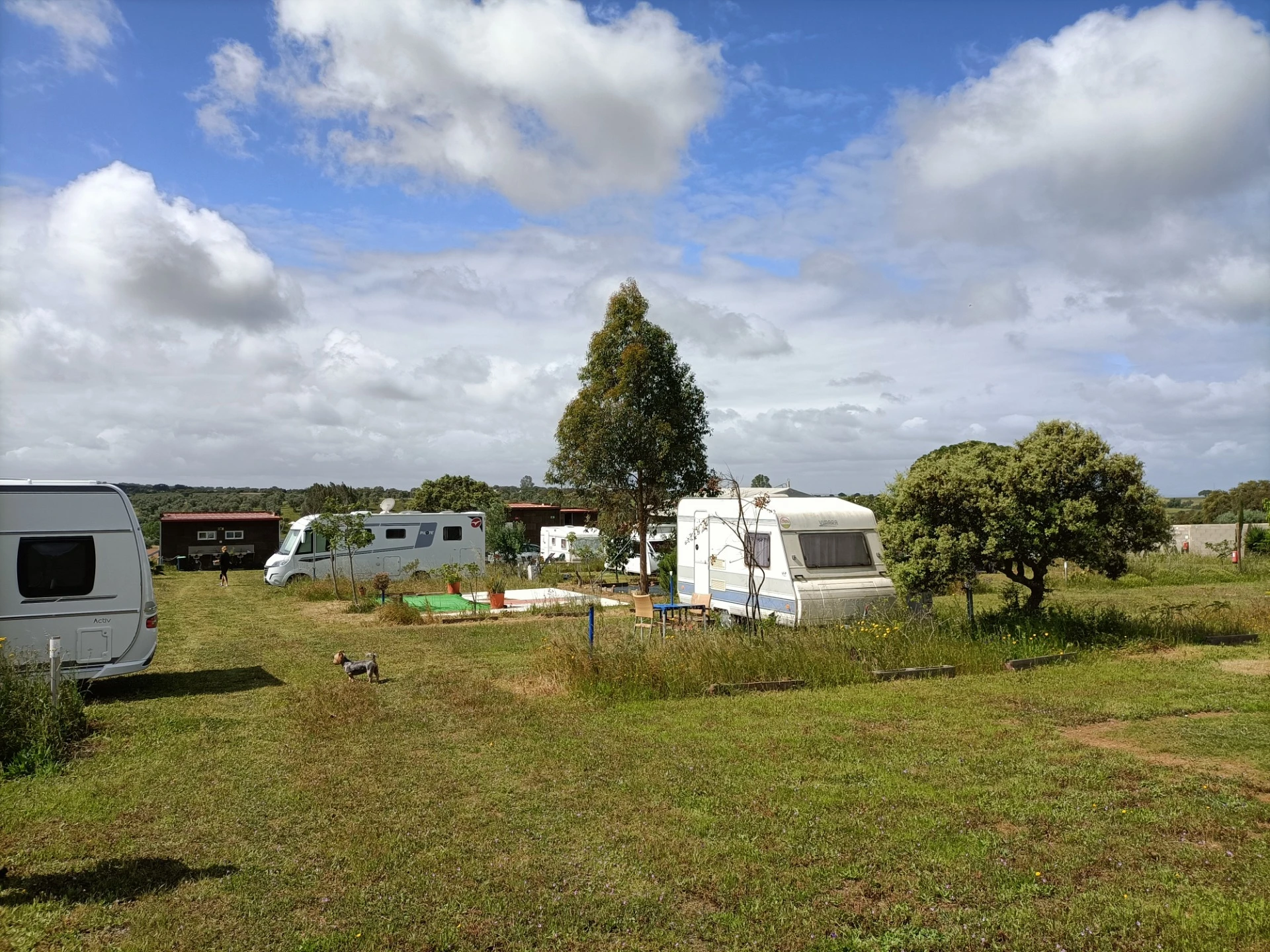Terra Nua Campismo Naturista — photo 3